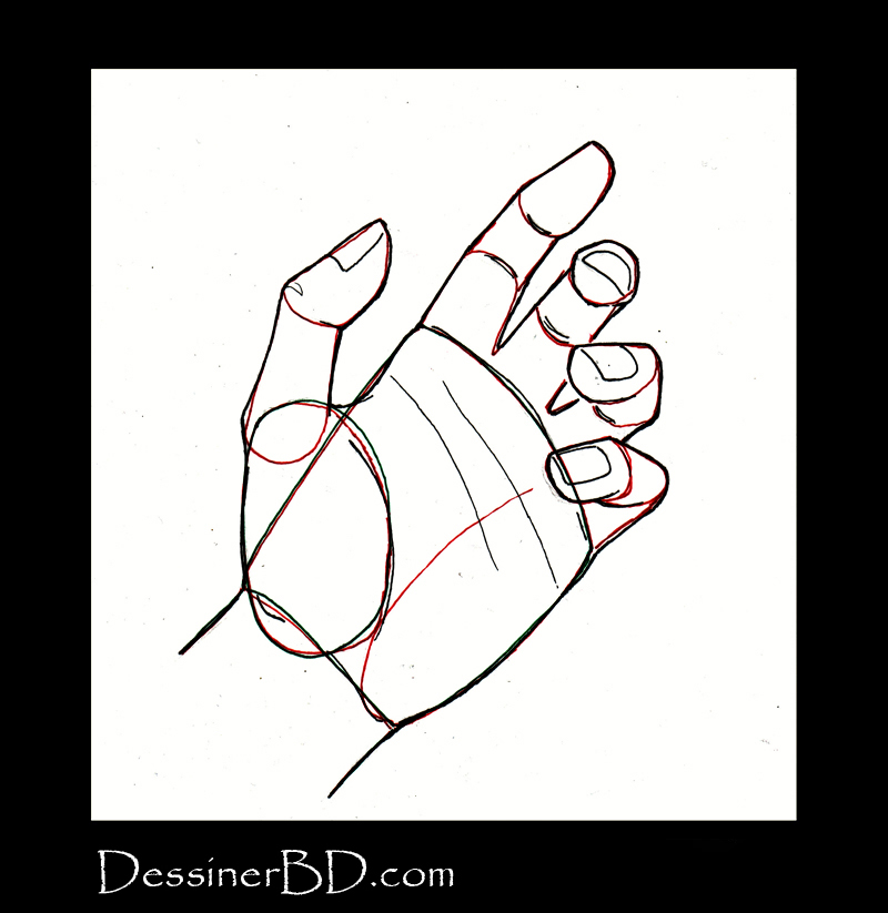 dessiner une main étape 3 les détails