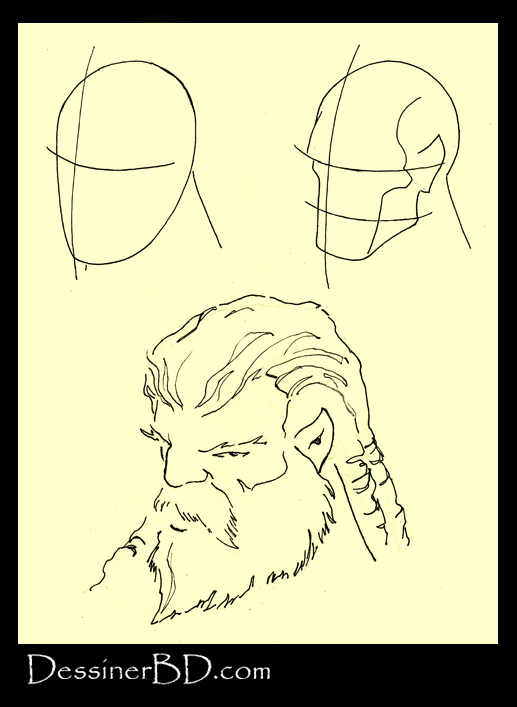 dessiner de 3 quart profile visage nain