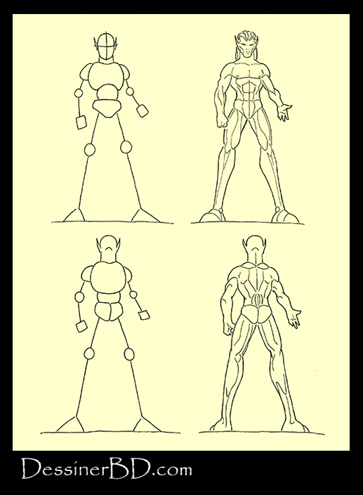 apprendre à dessiner muscles anatomie elfe face et dos