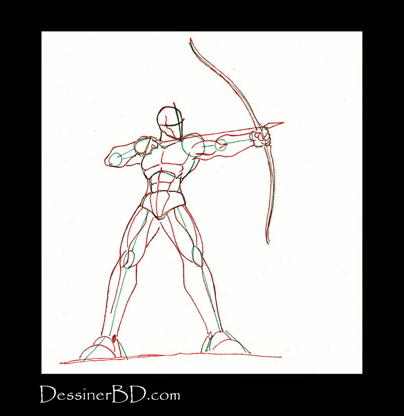 anatomie et muscles archer