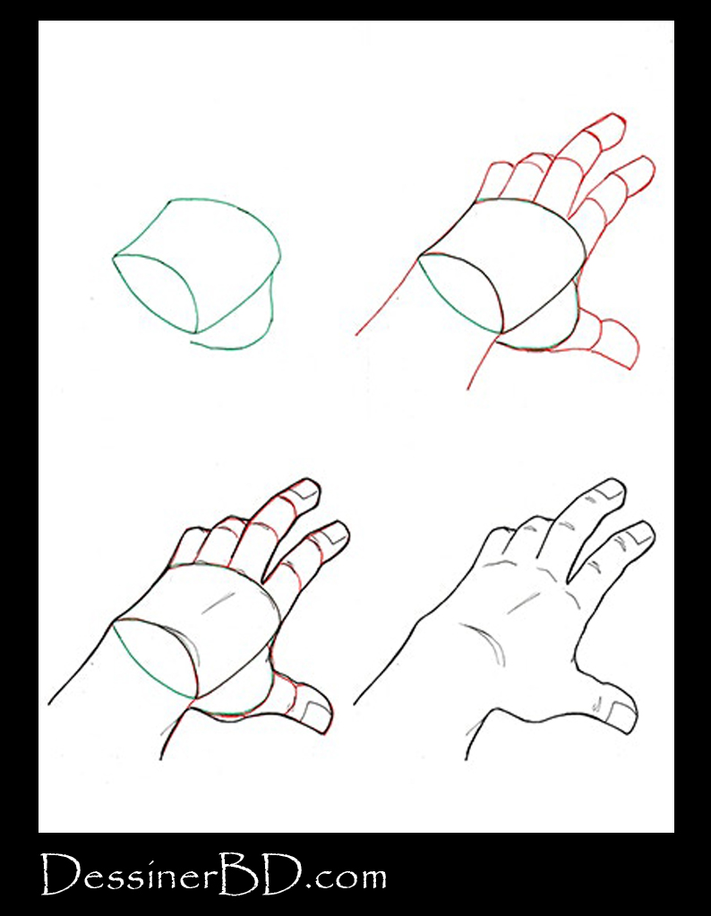 Comment dessiner une main de dessus