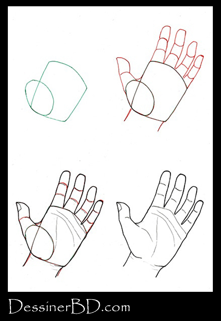 Comment dessiner une main de face