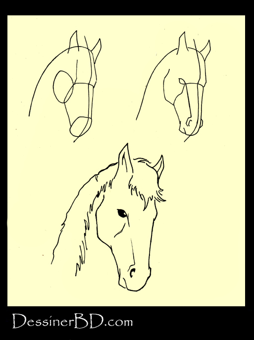 apprendre à dessiner la tête des chevaux