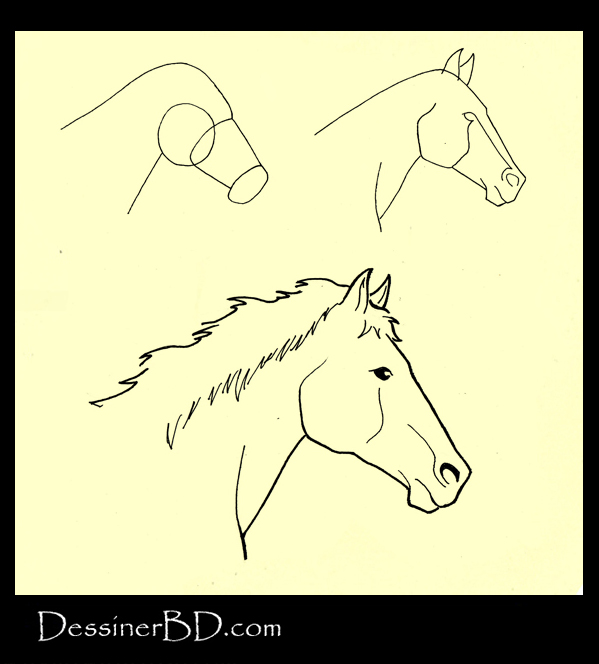 apprendre à dessiner une tête de cheval