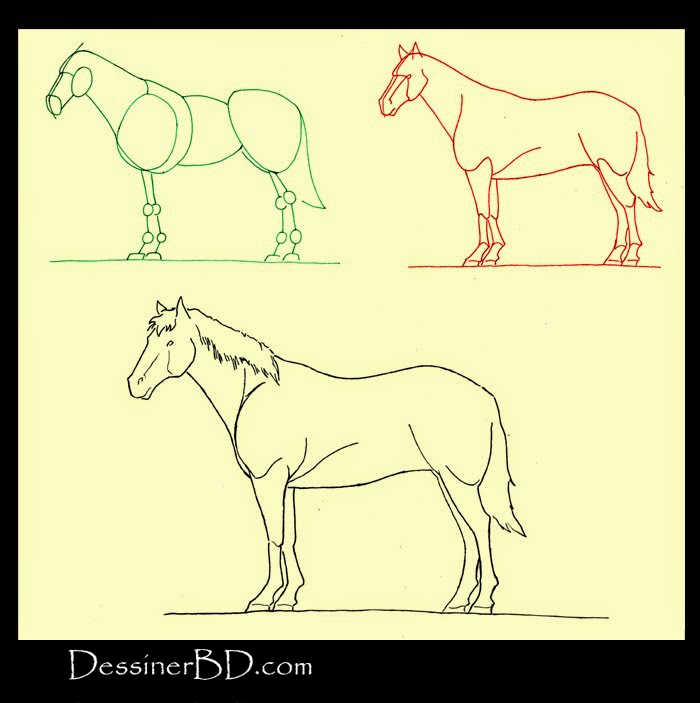 apprendre à dessiner un cheval par étapes