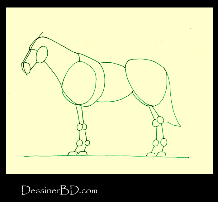 Comment dessiner formes repères cheval