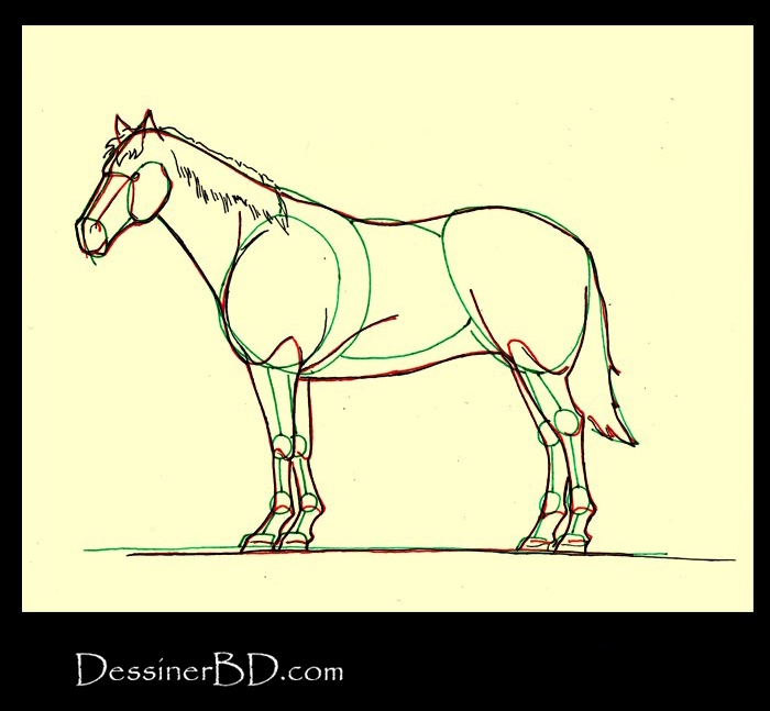Comment dessiner détails et crin cheval