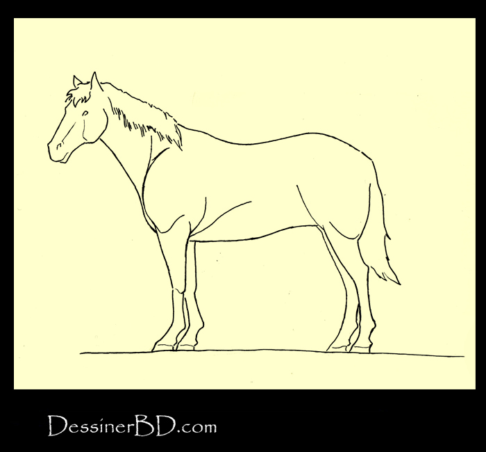 Comment encrer cheval