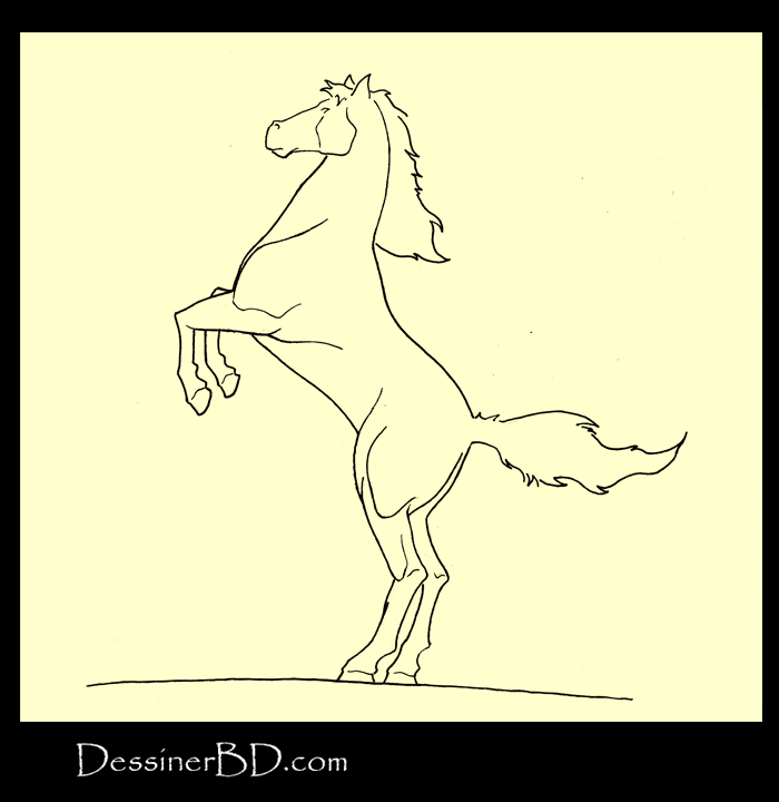 encrer cheval cambré