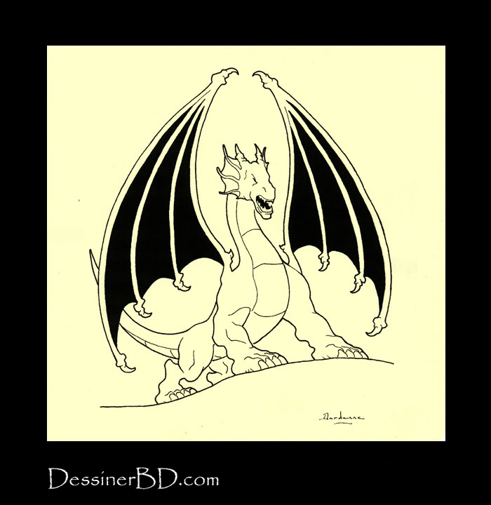 comment encrer dragon B