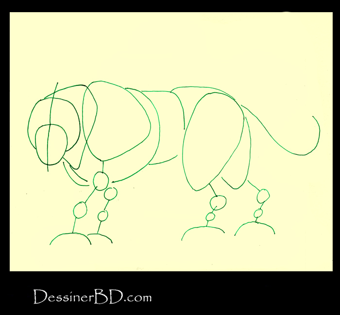 comment dessiner formes félin A