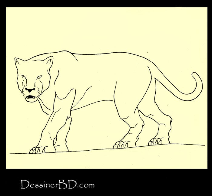 comment dessiner encrer félin A