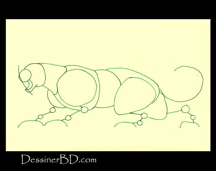 comment dessiner formes félin B