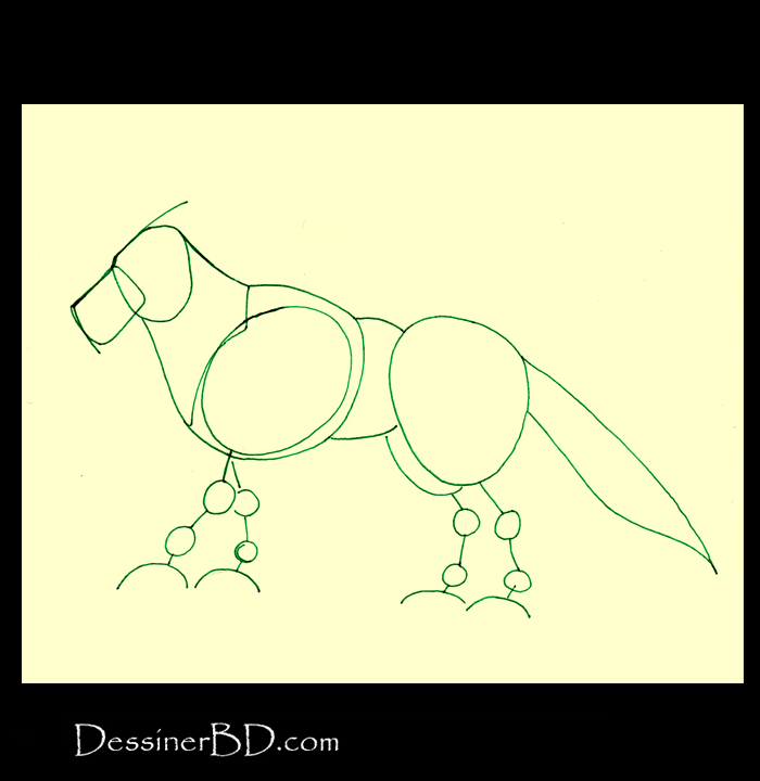 formes comment dessiner loup