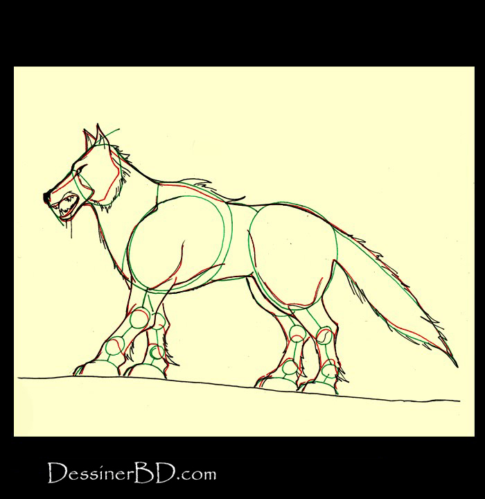 détails fourrure comment dessiner loup