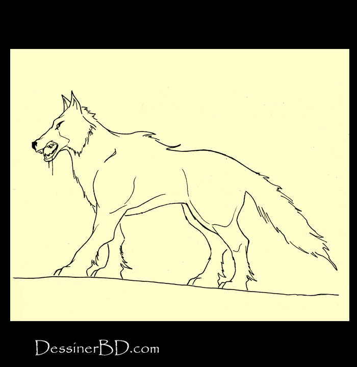 comment encrer dessin loup