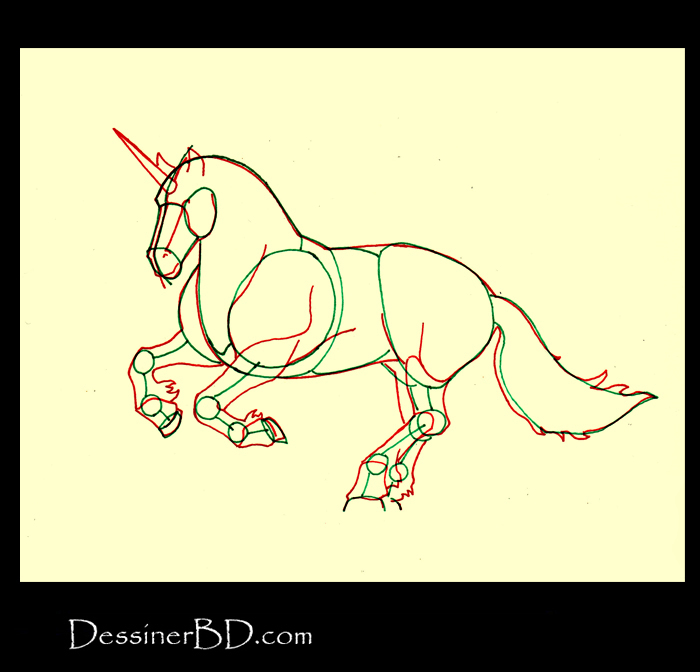 comment dessiner morphologie licorne