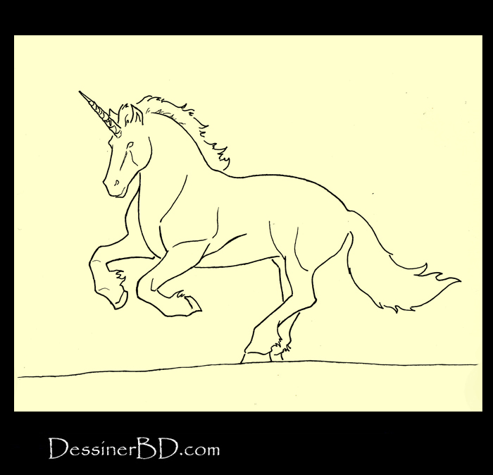 comment encrer licorne